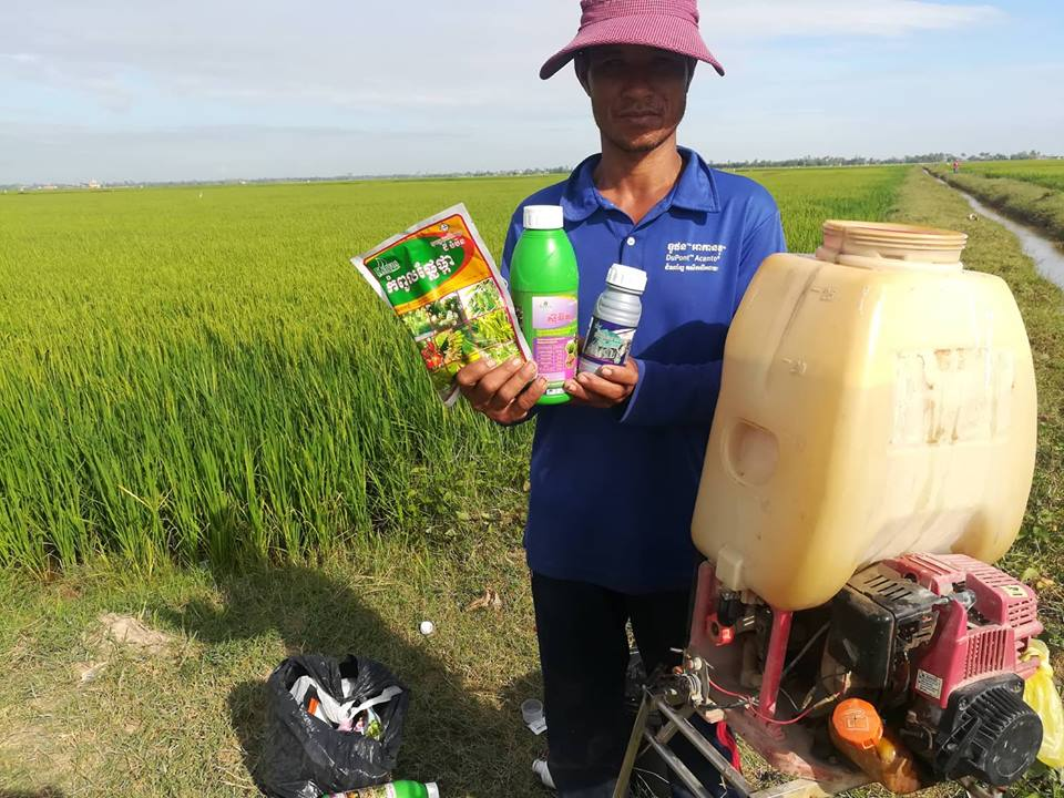 kenvos Radi Plus es eficaz en el control de plagas del arroz
