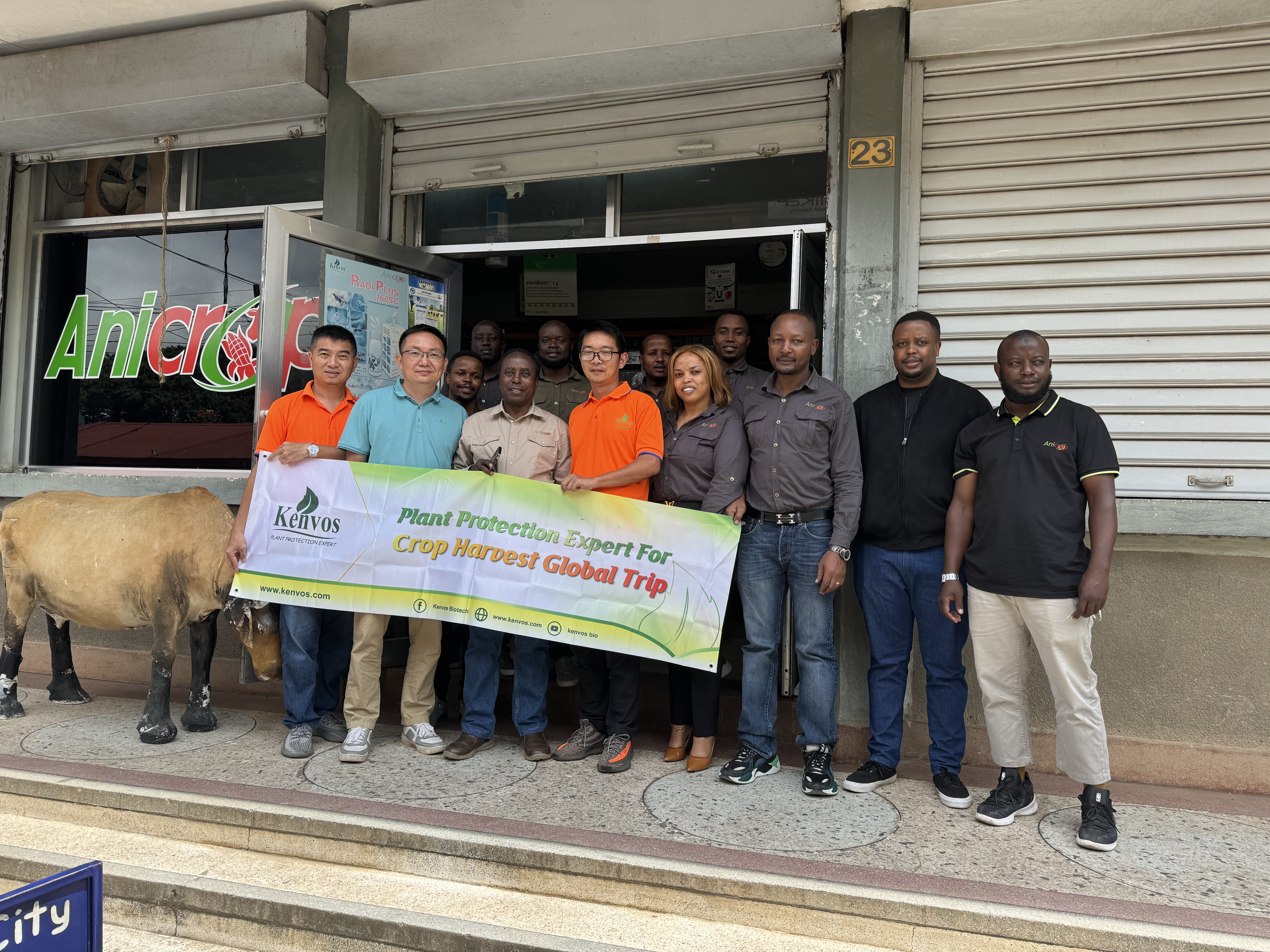 Kenvos Global Market Research—Tanzania